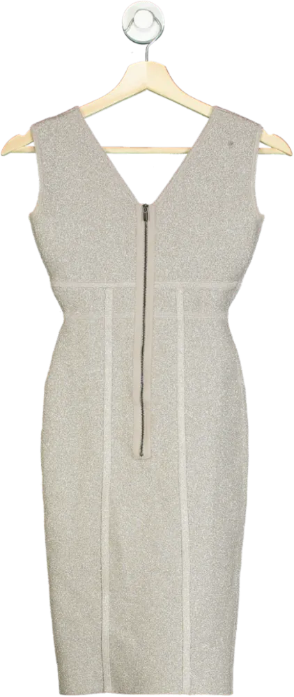 BCBG Max Azria Silver Metallic Sheath Dress XXS