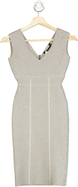 BCBG Max Azria Silver Metallic Sheath Dress XXS