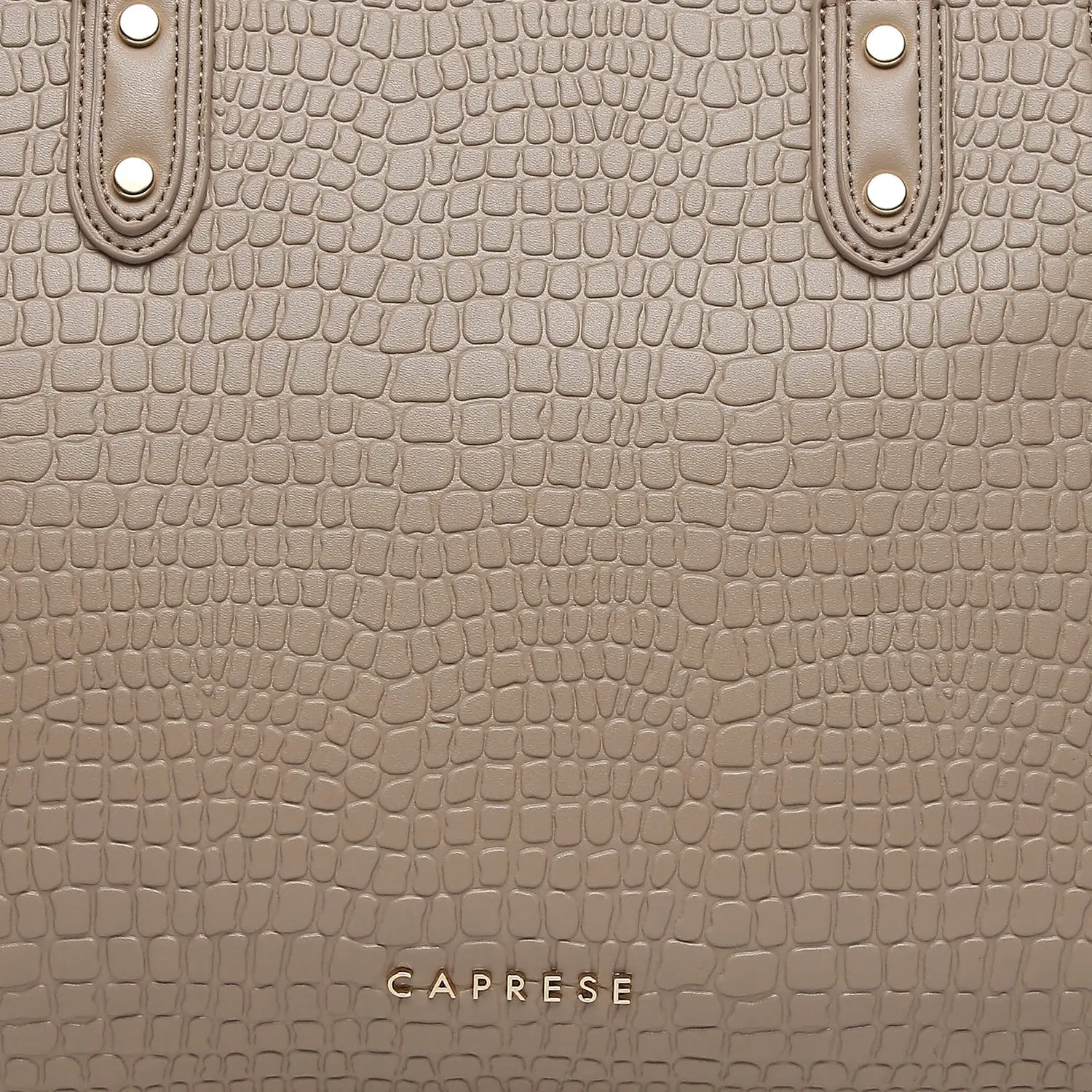 Caprese Keera Satchel Large